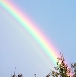 Rainbow copyright 2019 Alison Hale